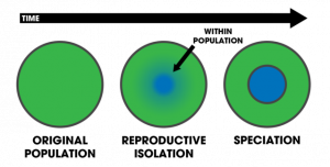 Evolution & Speciation, figure 2