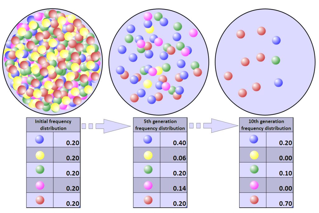 Evolution & Speciation, figure 1