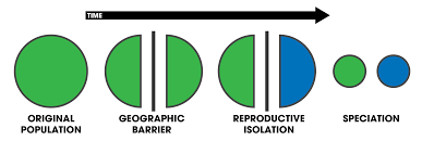Evolution & Speciation, figure 1
