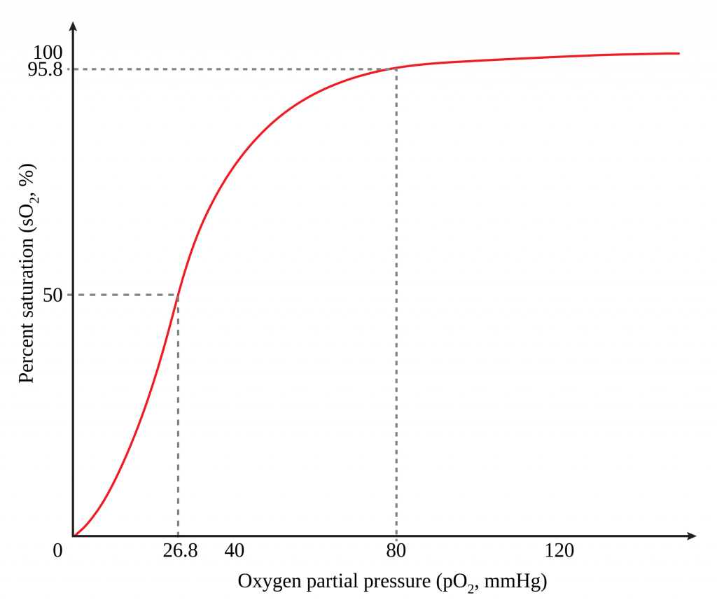 Mass Transport in Animals, figure 2