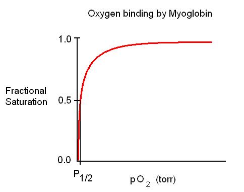 Mass Transport in Animals, figure 4