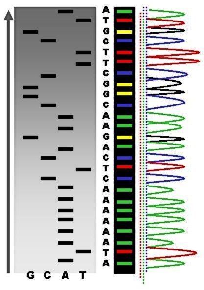 Gene Technology, figure 1