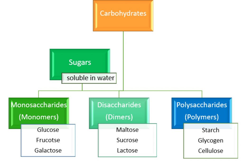 Carbohydrates, figure 1